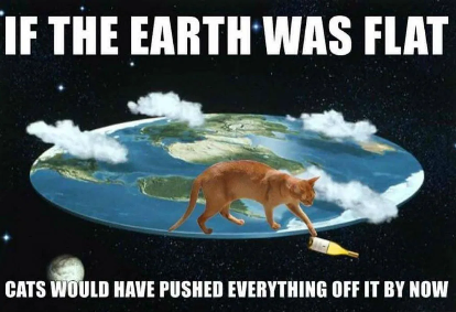 Bad Kitty! Flat Earth Kitty!
