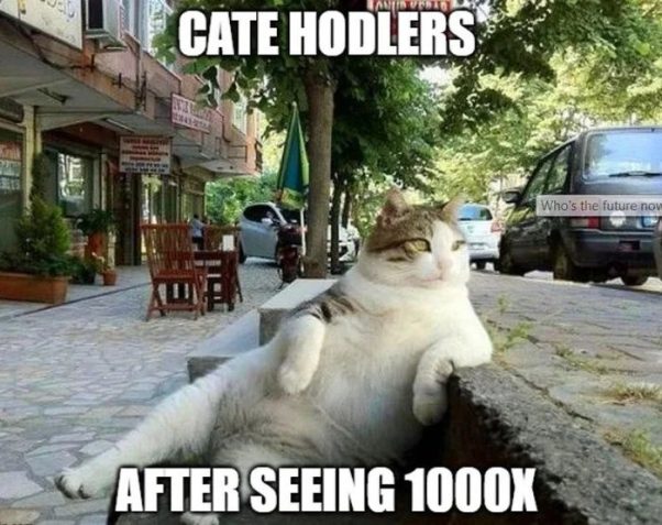 Catehodlers after 1000x