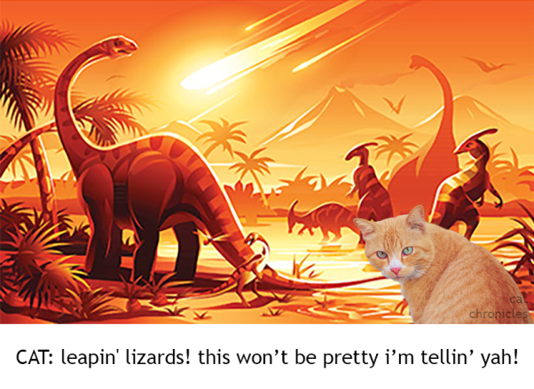 The cat survived the extinction of the dinosaurs
