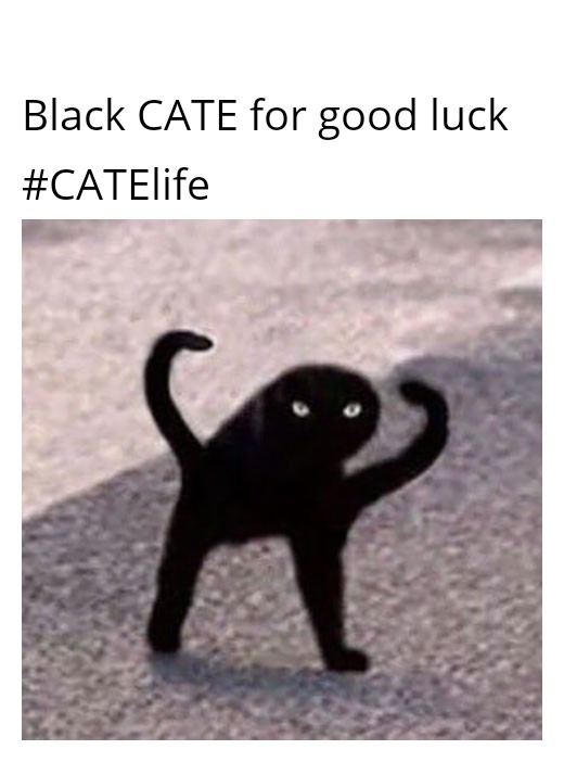 Black Cate for Luck