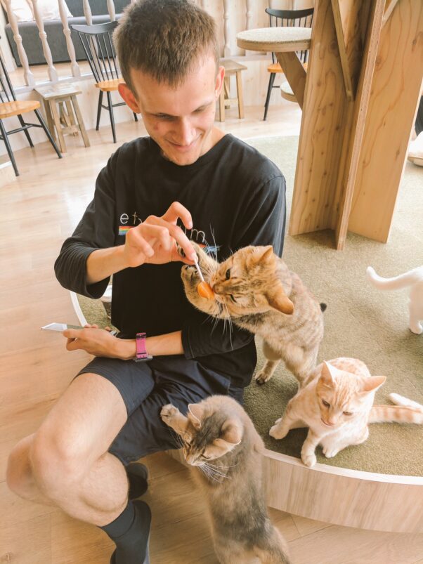 Ethereum Founder Love Cats