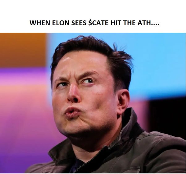 Elon on #Catecoin