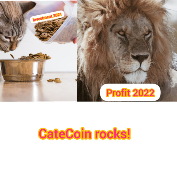 Feeding a kitten in 2021, will turn into a big CATe in 2022!