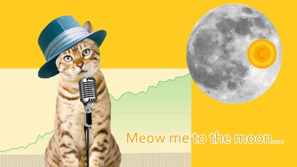 Meow Me to the Moon