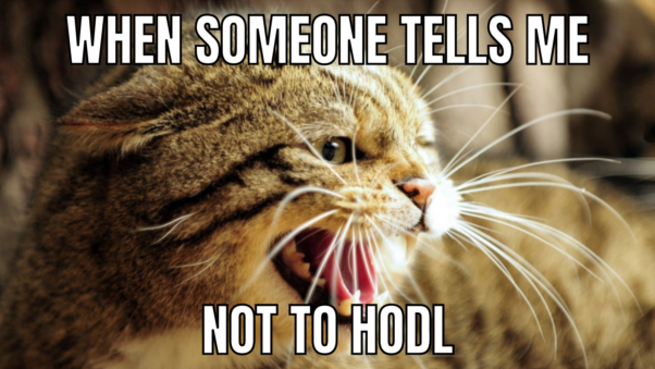 When someone tells me not to HODL