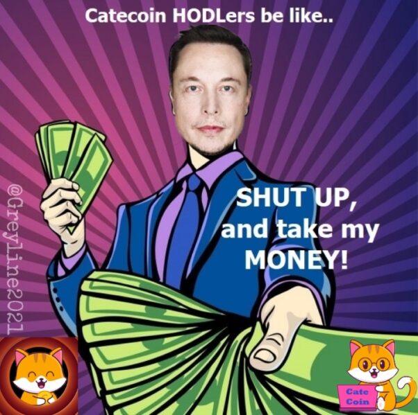 Elon Musk to Buy Catecoin