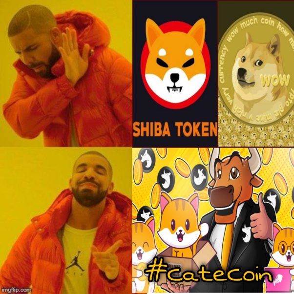 Catecoin To the Moon