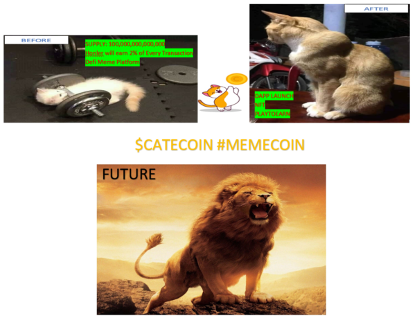 KING OF THE #MEMECOIN #CATECOIN.