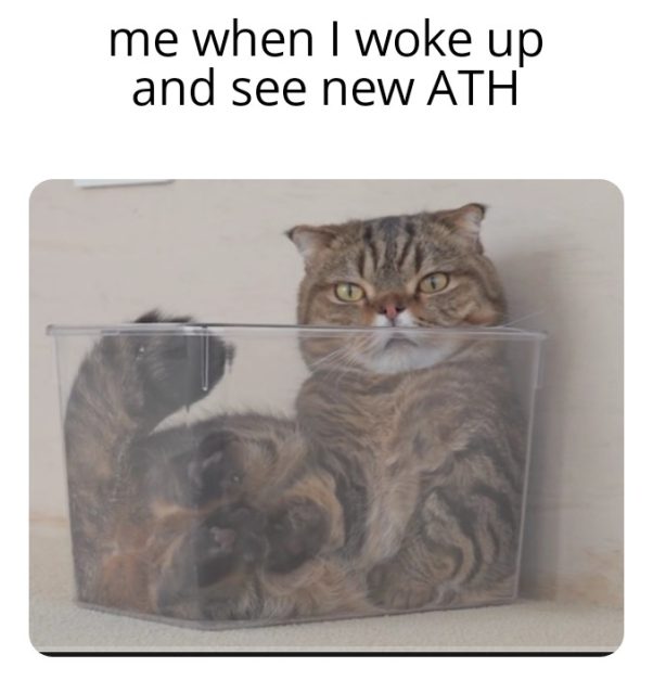 Just woke up and see new ath
