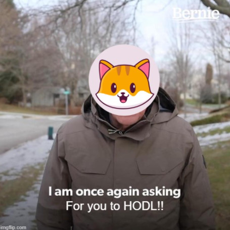 HODL your cate! Binance soon!