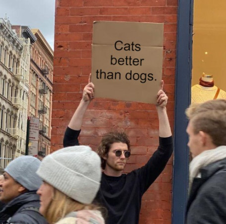 Cats better than dogs
