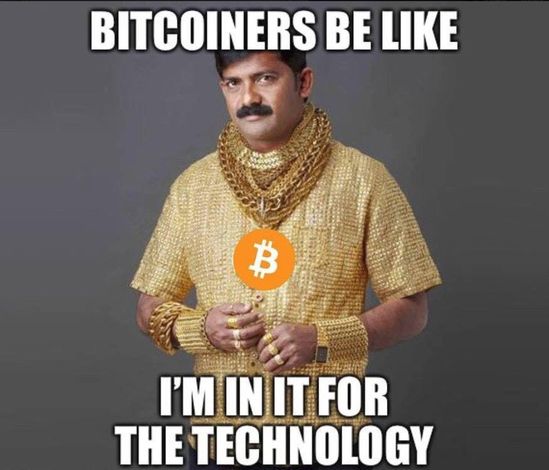Bitcoin Hodler Right Now