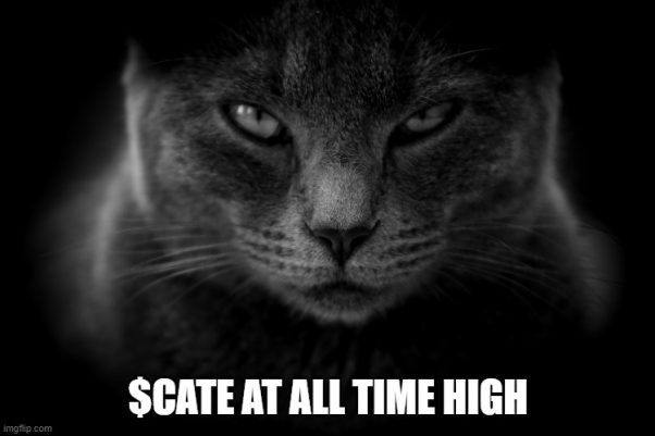 Our $CATE at ALL TIME HIGH