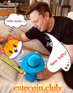 Catecoin & Elon