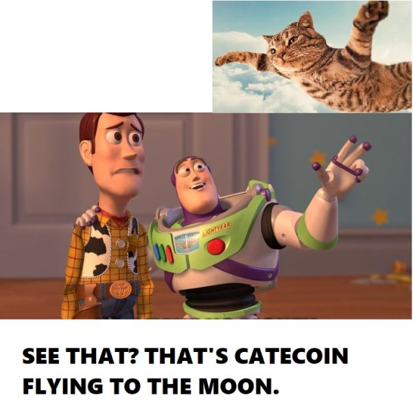 It's a bird, it's a plane, no it's catecoin