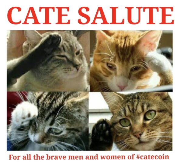 RESPECT FOR ALL CATE HOLDERS