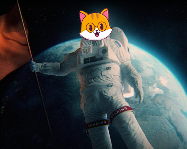 Cate to the moon