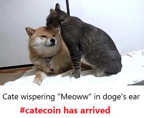 Cate wispering "meow" in doge's ear