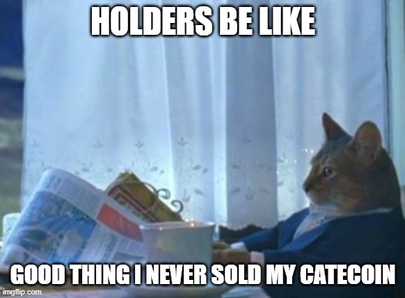 CATECOIN HODLERS