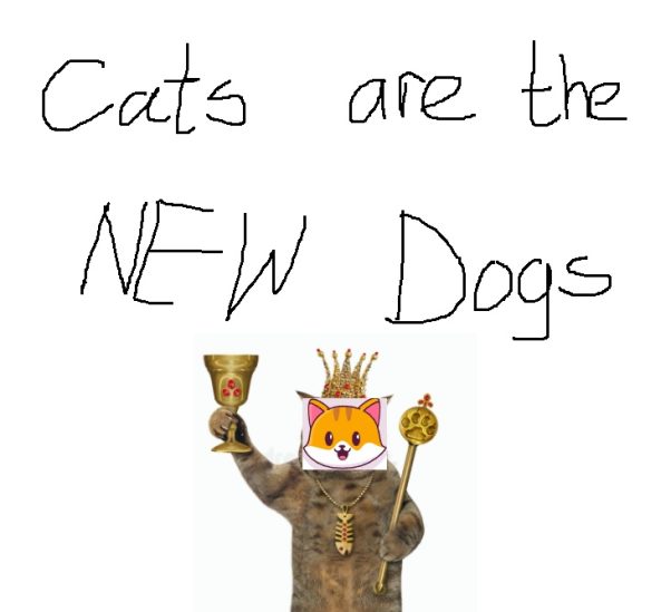 Cats are the new dogs