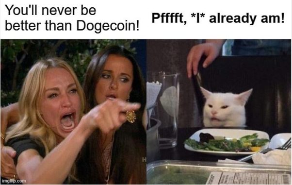 Real housewife vs. catecoin!