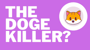 Catecoin is Shiba and Doge killer