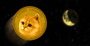 CAToshi CATamoto to da MOON!πππ