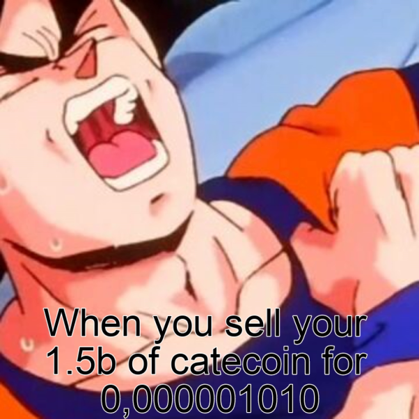 WHAT YOU DID GOKUUU