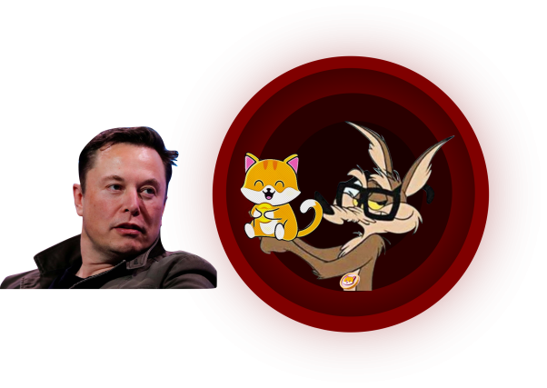 Coyote giving CATE to Elon