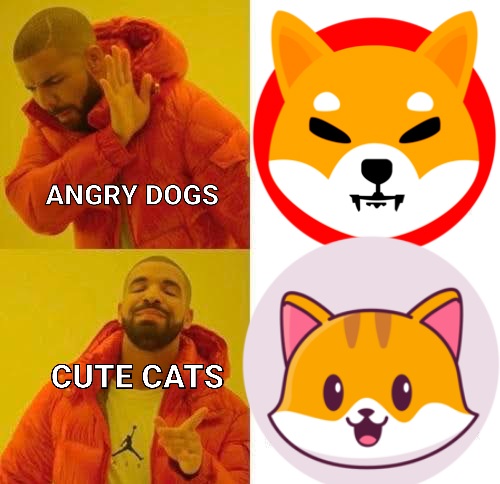 CAT PERSON BE LIKE
