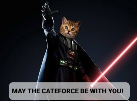 CATEFORCE BE WITH YOU!
