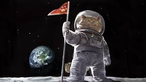 Cat on the Moon