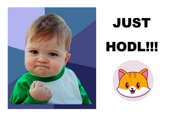 Just HODL on you CATECOINS!