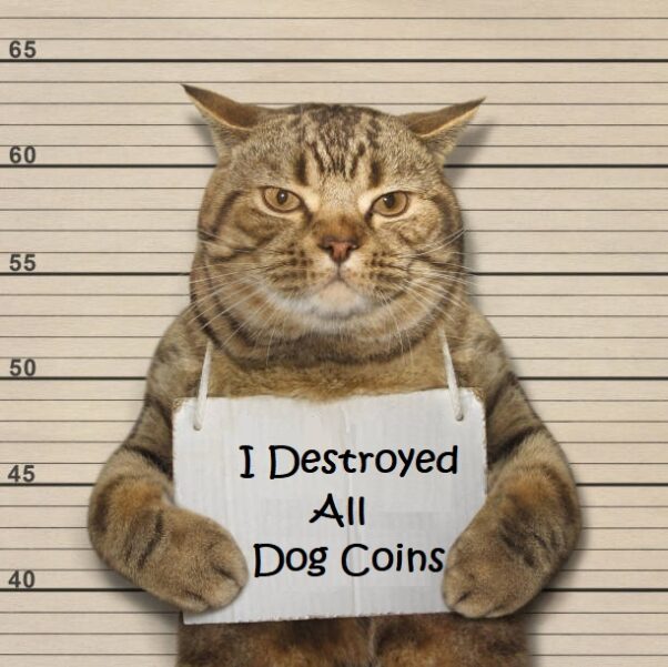 Catecoin is the Dog Destroyer