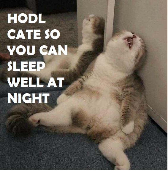 Wanna sleep well? Buy and hodl Cate!