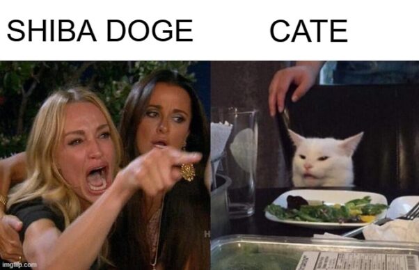 DOGE SHIBA vs CATE