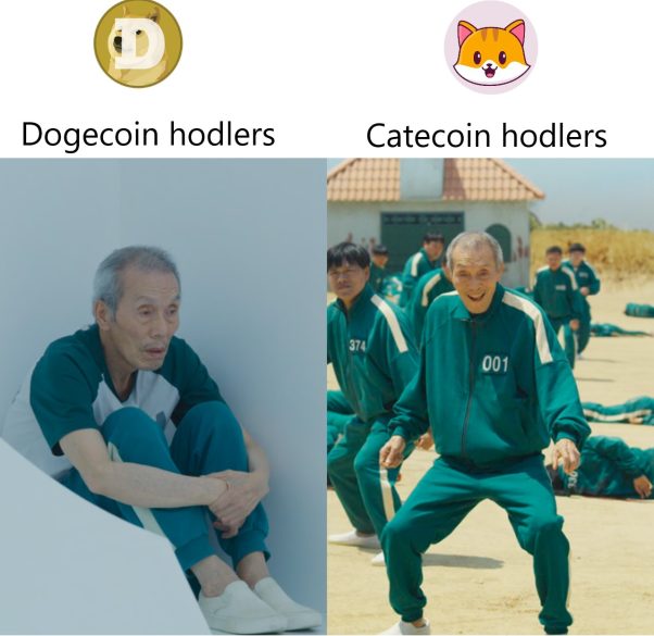 Hodling cate is pure happiness