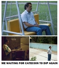 me waiting to buy the dip