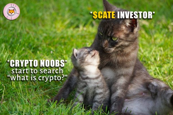 $CATE investor vs Crypto newbs