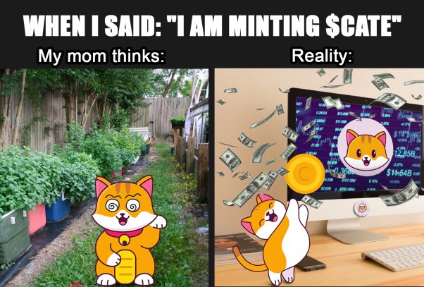 What my $MOM thinks vs $ME in reality hodling $CATE