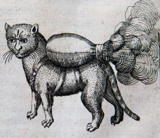 Cat drawn in medieval times.