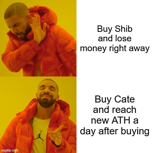 What buying cate a day ago feels like