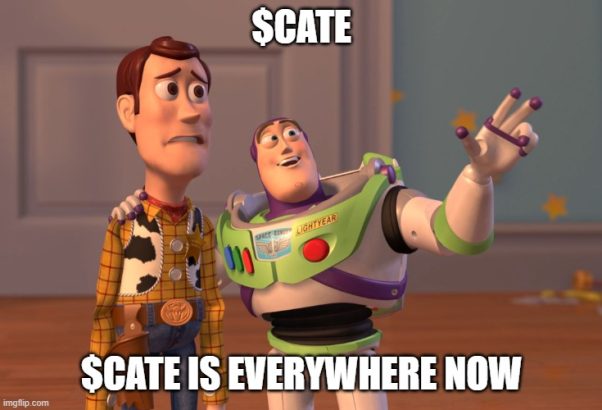 Buy $CATE now before it's too late