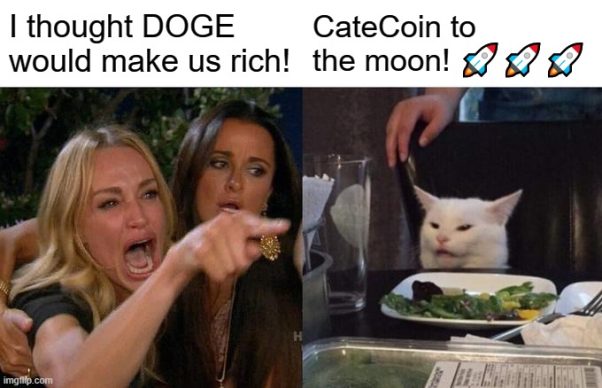 CateCoin To The MOON!