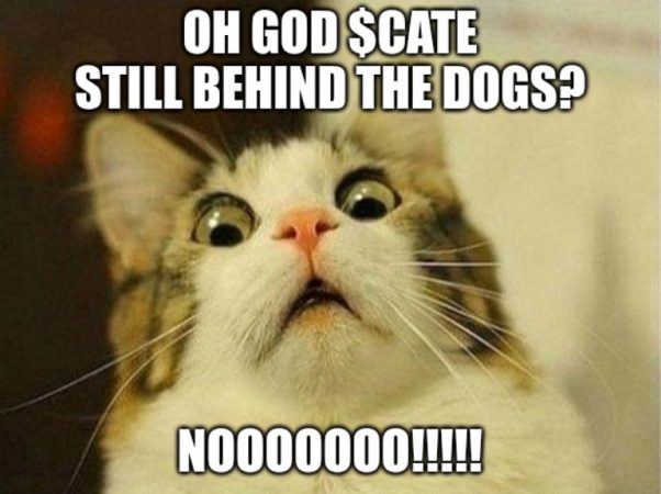 $CATE still behind the DOGES?