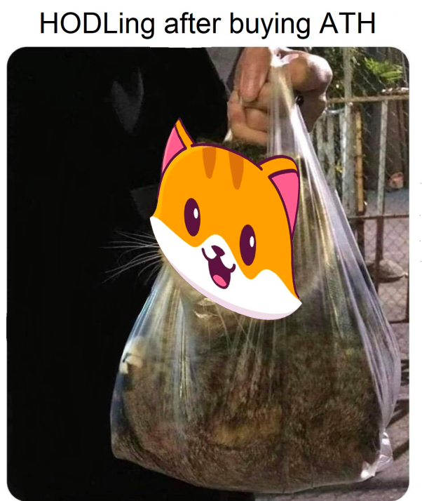For CATE HODLers