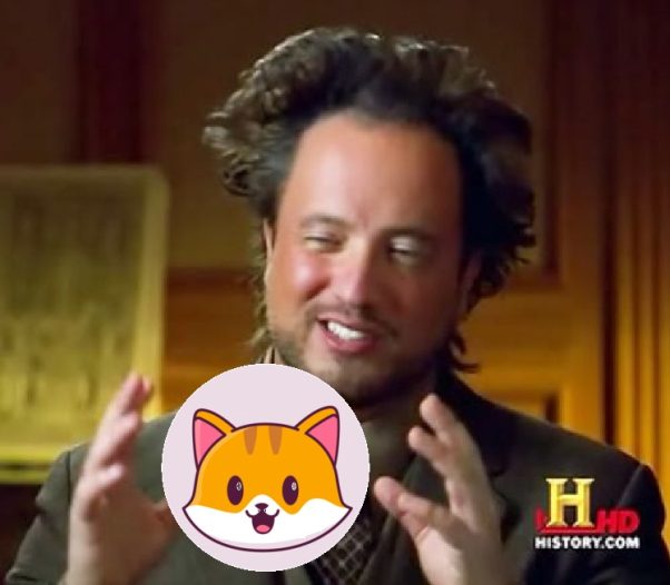 Me explaining CateCoin to my Family and Friends