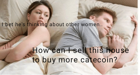 ALL IN CATECOIN