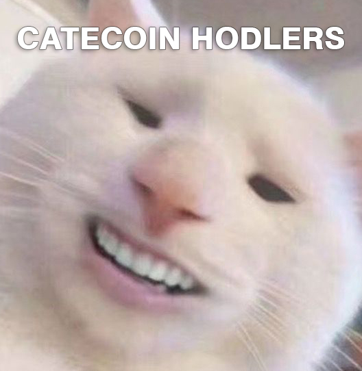 Catecoin Hodlers Now