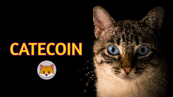 CATECOIN PIXEL CAT IS COMING